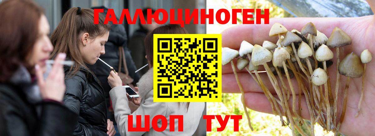 что такое   Галлюциногенные грибы ЛСД  Вход с VPN  Новочебоксарск 